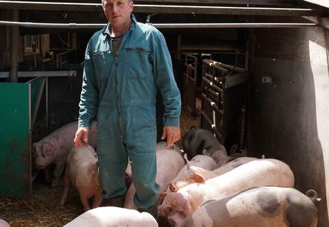Seit 1995 führt Ulrich Hauser den landwirtschaftlichen Betrieb in Eisingen.