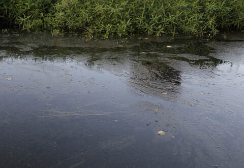 Ein Ölfilm auf der Enz hat am Mittwoch für einen Einsatz der Feuerwehr in Mühlacker gesorgt.