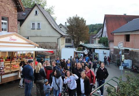 Beste Stimmung herrschte in der Singener Ortsmitte, das Angebot beim Straßenfest war groß.