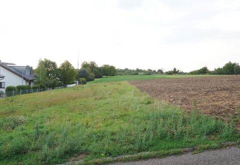 Hat sich erledigt: Wo das Neubaugebiet „Mangold und Lange Äcker“ entstehen sollte, befindet sich aktuell grüne Wiese. Und daran wird sich nach dem jüngsten Ratsbeschluss in nächster Zeit auch erst einmal nichts ändern. Foto: Roller