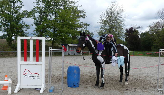 Gar nicht so einfach, Wäsche vom Pferderücken aus an die Leine zu bringen. Vor allem, wenn das Pferd nicht immer ruhig stehen bleibt. Foto: Weber Gar nicht so einfach, Wäsche vom Pferderücken aus an die Leine zu bringen. Vor allem, wenn das Pferd nicht immer ruhig stehen bleibt. Foto: Weber