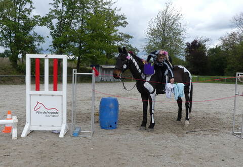Gar nicht so einfach, Wäsche vom Pferderücken aus an die Leine zu bringen. Vor allem, wenn das Pferd nicht immer ruhig stehen bleibt. Foto: Weber