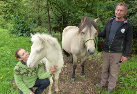 Alexandra und Peter Kioska stellen mit dem doppelt cremefarbenen Svipur und der Mutterstute Kista zwei ganz besondere Isländer vor. Foto: Gabriele Meyer