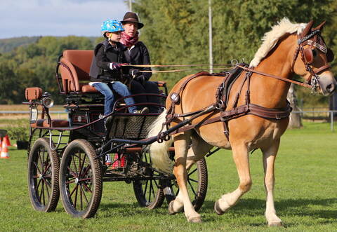 Der Nachwuchs nutzte seine Chancen beim Fahrertag in Bilfingen. Ben Steiniger war mit sechs Jahren der jüngste Teilnehmer.