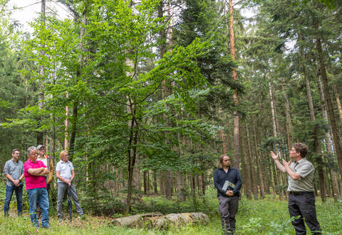 Waldbegehung Waldklimapfad Schellbronn