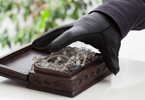 Durch das Einschlagen einer verglasten Terrassentür sind die Diebe ins Hausinnere gelangt.