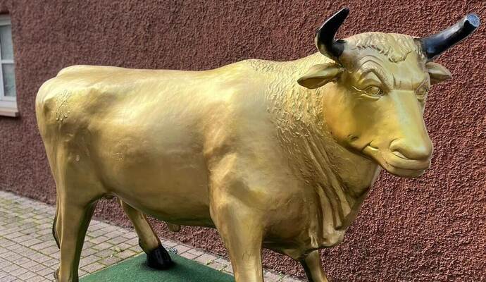 Dieser goldene Stier braucht noch einen Namen.