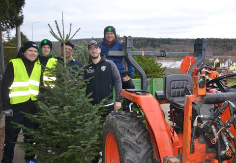 Ein voller Wagen mit ausgedienten Bäumen in Niefern.