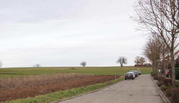 Auf einer grünen Wiese soll ein Neubaugebiet neben der Kanalstraße in Nußbaum entstehen. Roller Auf einer grünen Wiese soll ein Neubaugebiet neben der Kanalstraße in Nußbaum entstehen. Roller