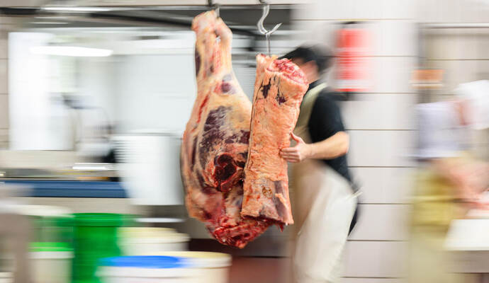 Eine Rinderkeule wird in einer Fleischerei in das Kühlhaus geschoben. Zu den besonders betroffenen Betrieben im sächsischen Hand Lebensmittelhandwerk in Sachsen - Fleischerei
