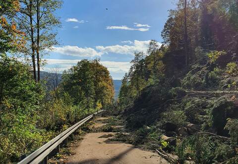 M ehr Holz als üblich hat Revierförster Alex Volkert am Nogoldhang auf Unterreichenb acher Gemarkung im vergangenen Herbst schlagen lassen. Die große Maßnahm e war vor allem wegen der Verkehrssicherung nötig.