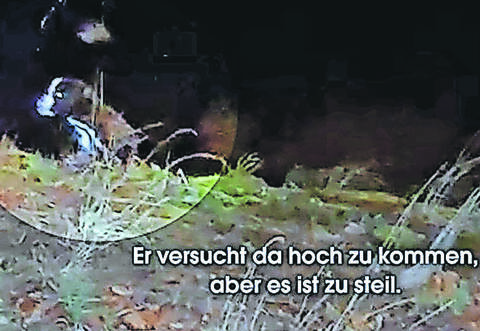 In einem Video hat der Tierquäler festgehalten, wie sein Hund in den eisigen Fluten der Enz ums Überleben kämpft. Den Film leitete Peta an die zuständigen Behörden weiter, die prompt reagierten.
