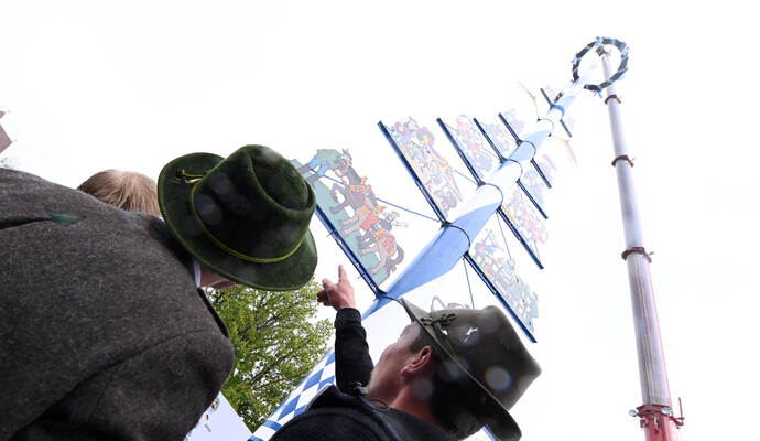 Neuer Maibaum am Viktualienmarkt