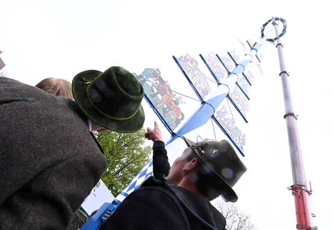 Neuer Maibaum am Viktualienmarkt