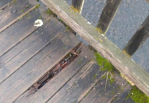 Der Steg weist einige Schäden auf.