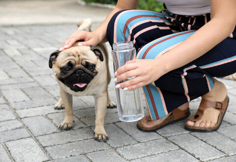 Gewalt gegen Tiere muss nicht immer mit Schlägen verbunden sein. Auch Vernachlässigung ist eine Form von Gewalt. Die meisten der im Tierheim Pforzheim gestrandeten tierischen Opfer von Gewalt werden an neue Halter vermittelt.