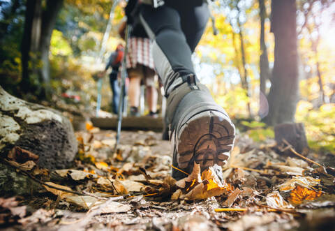 Wer nicht mehr selbst wandern kann, aber die Grünhütte besuchen möchte, kann jetzt wieder einen Shuttlebus benützen.