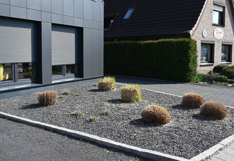 So wird der Schottergarten wieder grün