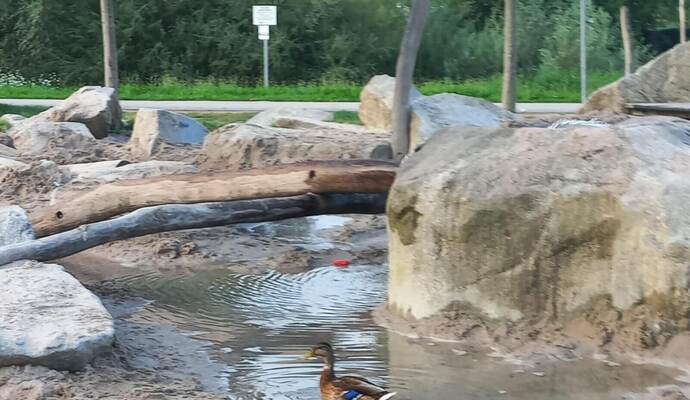 Auf dem Wasserspielplatz in Mühlacker treiben Scherzbolde ihr Unwesen.