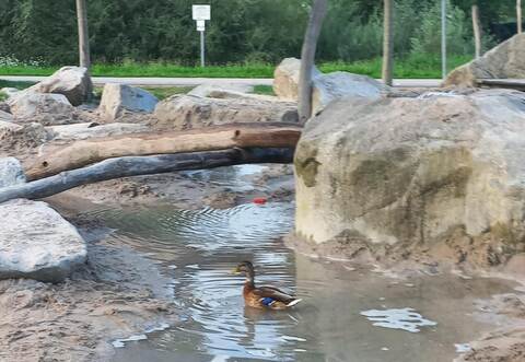 Auf dem Wasserspielplatz in Mühlacker treiben Scherzbolde ihr Unwesen.