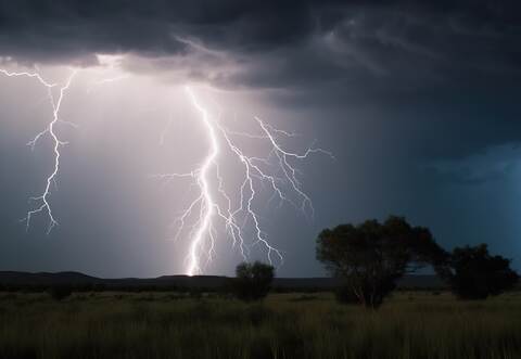 Vermutlich durch einen Blitzeinschlag fingen mehrere Bäume bei Tiefenbronn am Wochenende Feuer.