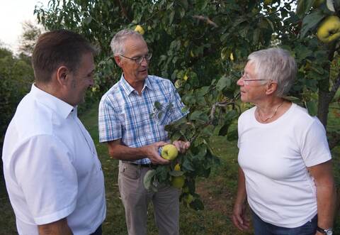 Experte Bernhard Reisch (Mitte) erklärt Bürgermeister Heiko Faber und der stellvertretenden OGV-Vorsitzenden Helga Schassberger an einem Quittenbaum, worauf es beim Baumschnitt ankommt.