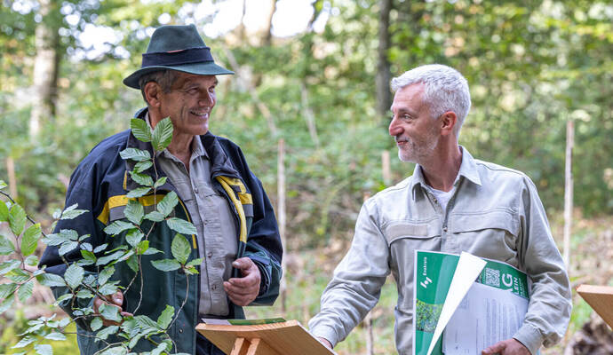 Steckbriefe aller Baumarten sind in Nußbaum auf Holztafeln zu sehen . Zudem werden Pflanzen präsentiert, wie dieser Buchenzweig durch den Neulinger Revierförster Martin Schickle (links). Daneben Enzkreis-Forstamtschef Andreas Roth. Vorstellung Waldtag Forstamt
