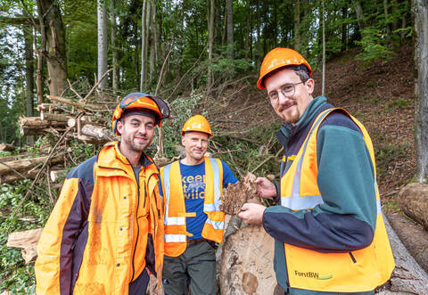 Holzfällung Dennach Eyachtal
