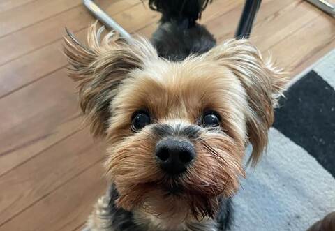 Aufgeweckt und freundlich war der kleine Jason.