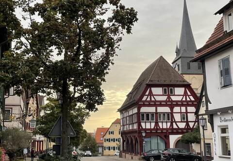 Tiefenbronns schmucker Ortskern: Die Franz-Josef-Gall-Straße, hier im Herbst aufgenommen, ist der Mittelpunkt des öffentlichen Lebens in der Gemeinde. Neben einigen anderen Unternehmen findet sich dort auch die Bäckerei Böss. Ein Einbruch in deren Räume ist einem Einbrechertrio zum Verhängnis geworden.