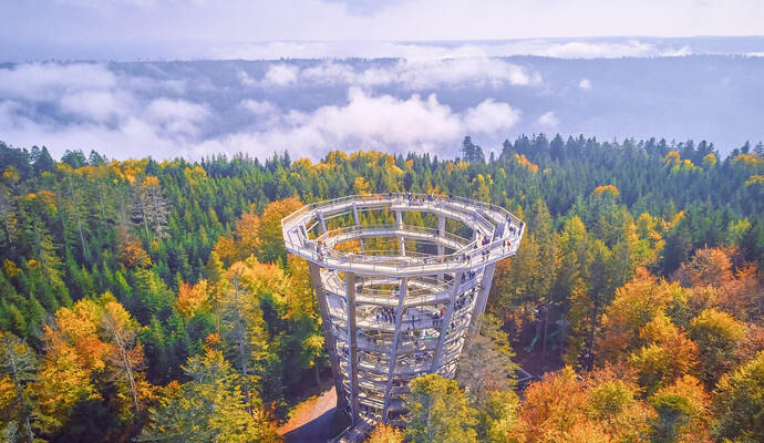 Den Trend zu Bewegung, Natur und Regionalität möchte man in Bad Wildbad nutzen – wie auf dem Sommerberg mit dem Baumwipfelpfad. Foto: Moritz Sommerberg Baumwipfelpfad im Herbst