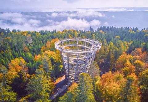 Sommerberg Baumwipfelpfad im Herbst
