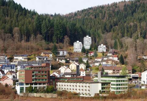 Das Berufsförderungswerk mit Schulungs- und Verwaltungsräumen sowie die Heinrich-Sommer-Klinik (untere Gebäude) prägen den Norden der Stadt.