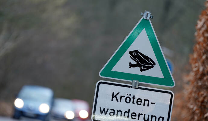 Amphibienschutzzaun im Niendorfer Gehege