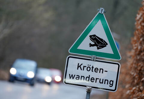 Amphibienschutzzaun im Niendorfer Gehege