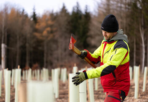 Waldzustandsbericht 2023 - Thüringen