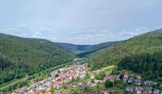 Höfen aus der Luft. Höfen Luftbild
