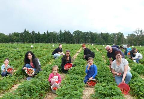 Glückliche Gesichter auf dem Erdbeerfeld.