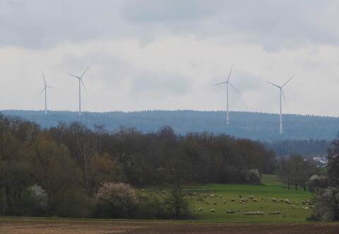 Außerhalb von Straubenhardt stehen schon Windräder im Wald. Ob es dazu auch in Birkenfeld kommt, soll ein Bürgerentscheid klären.