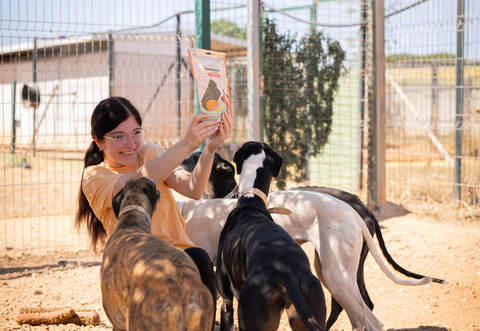 Das Füttern der Galgo-Windhunde macht der Tierliebhaberin und Hundefotografin sichtlich Spaß. Vor Ort werden die oft misshandelten Tiere wieder aufgepäppelt.