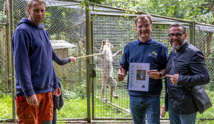 Luchs Patenschaft Gimber Reinschmidt