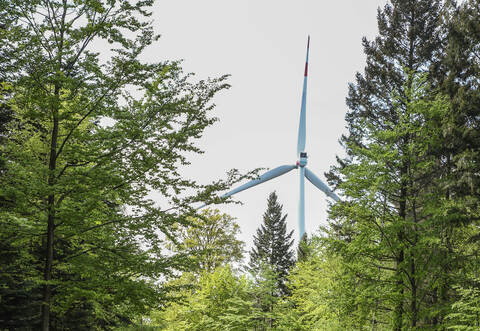 Straubenhardter Windkraftanlage im Wald: In Birkenfeld sind sechs ähnliche Windräder denkbar.