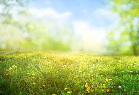 Zusätzlich zu den bestehenden Grünzügen, sollen im neuen Plan weitere hinzu kommen.