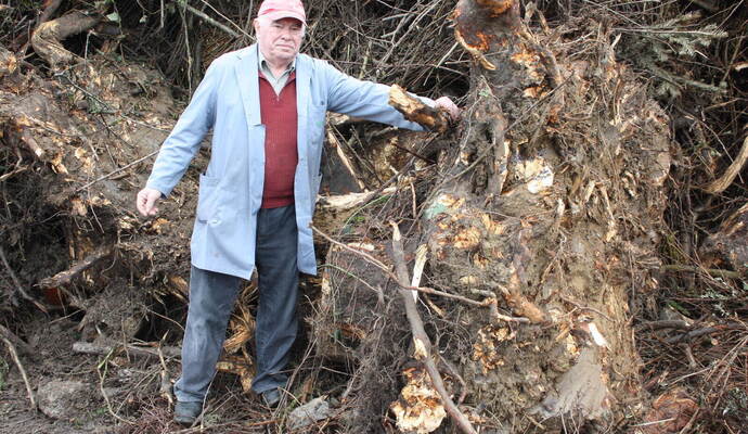 Riesige Baumstümpfe sind vor einiger Zeit schon auf dem Gelände verbotenerweise entsorgt worden. Darüber ärgert sich insbesondere der ehrenamtliche Enzberger Häckselplatzpate Theo Bellon.