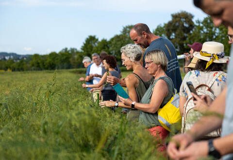 Gläserne Produktion Landwirte Gay Hirse