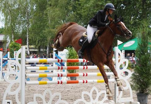 Maren Steinhilper vom Reiterverein Kraichtal hat sich in der Springprüfung der schweren Klasse S* auf Bibi Blocksberg 26 bei eher bescheidenem Wetter keinen einzigen Fehler geleistet.