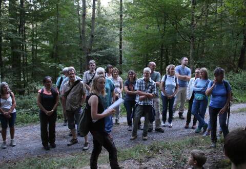 Revierförsterin Sarah Zwerenz (Mitte) nimmt Interessierte mit ins Nöttinger „Kaffeewäldle“ und zeigt dort die Besonderheiten des Waldes der Region.