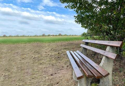 Bänke, die wie das „Rentnerbänkle“ am Ortsrand von Bieselsberg nahe bei einem Baum stehen, sind in Schömberg ins Visier der Gemeindeverwaltung geraten. 60Sitzbänke wurden dort bereits abgebaut.