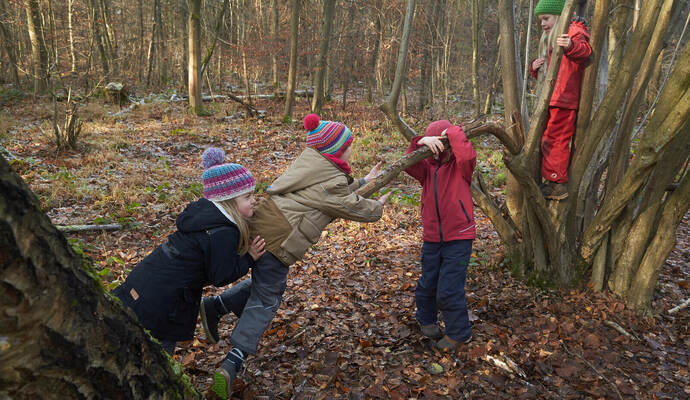 Kinder spielen gerne im Wald: Aber dabei gibt es einiges zu beachten, sonst könnte dem Waldbesitzer Schadensersatz drohen. Thoma Waldkindergarten