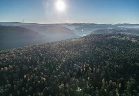Birkenfeld Gewann Bergwald